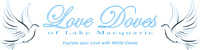 Lovedoves of Lake Macquarie