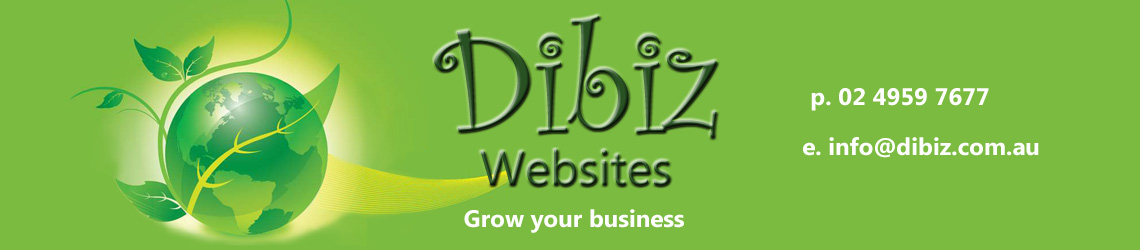 Dibiz Websites
