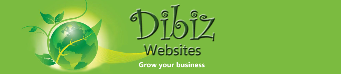 Dibiz Websites